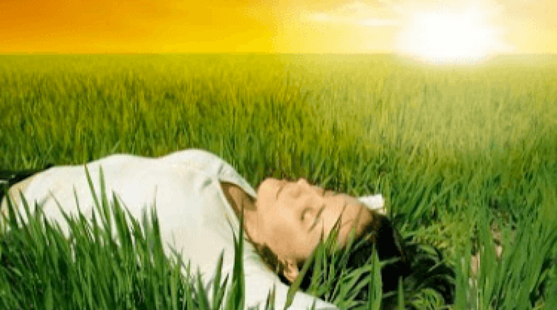 captura-de-pantalla-2017-04-06-a-las-13-23-31